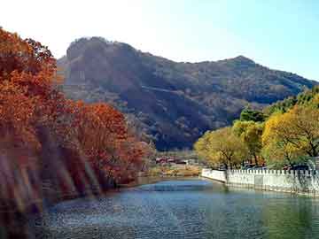 新澳天天开奖资料大全旅游团，吉林奇峰化纤